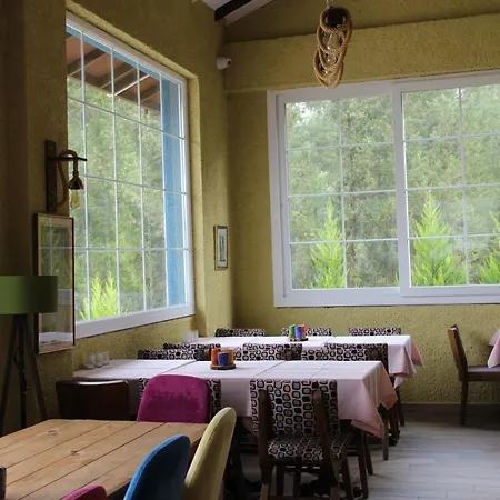 Cozy Apart Surrounded By Nature In Selcuk Frühstückspension *
