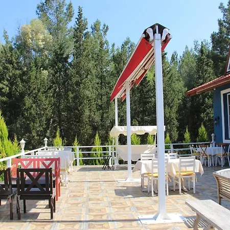 Cozy Apart Surrounded By Nature In Selcuk * Kirazli (Aegean)