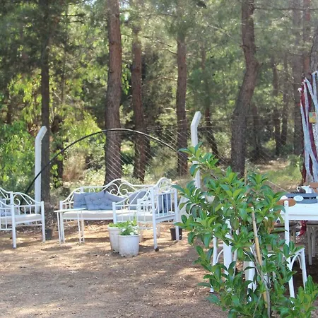 Bed & Breakfast Cozy Apart Surrounded By Nature In Selcuk