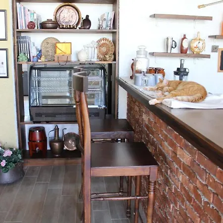 Cozy Apart Surrounded By Nature In Selcuk