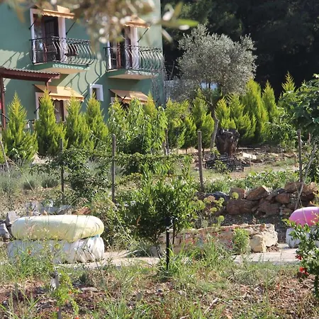 Cozy Apart Surrounded By Nature In Selcuk Bed & Breakfast *